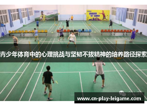 青少年体育中的心理挑战与坚韧不拔精神的培养路径探索 青少年体育中的心理挑战与坚韧不拔精神的培养路径探索