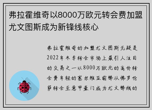 弗拉霍维奇以8000万欧元转会费加盟尤文图斯成为新锋线核心 弗拉霍维奇以8000万欧元转会费加盟尤文图斯成为新锋线核心
